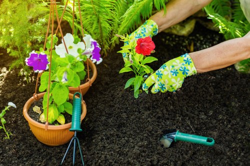 Overgrown garden being cleared by professionals in Richmond