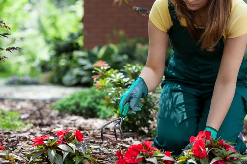 Experienced tree service team working in Richmond