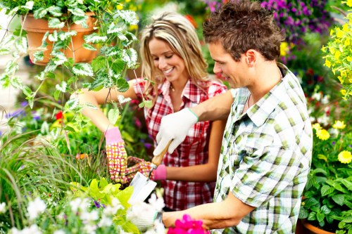 Professional tree lopping service in Richmond