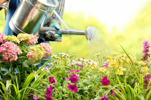 Trimmed and healthy trees maintained by Richmond gardening services
