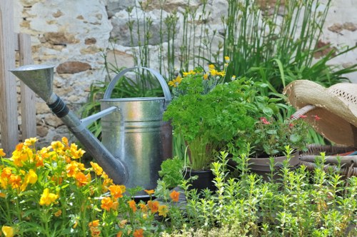 Richmond landscape showcasing local plants