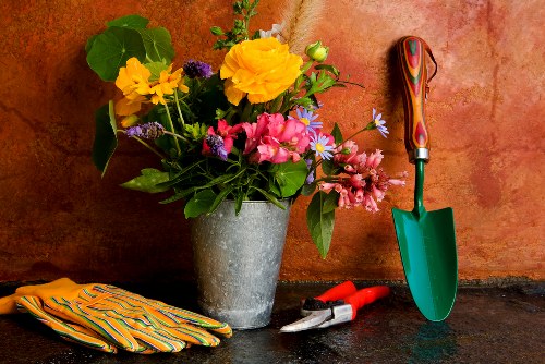 Expert gardeners working in Richmond