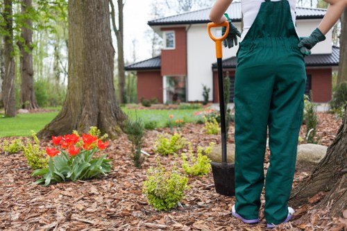 Vibrant Richmond garden maintained by professionals