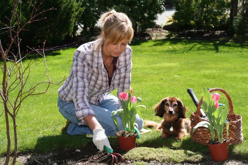 Policy document icon with gardening background
