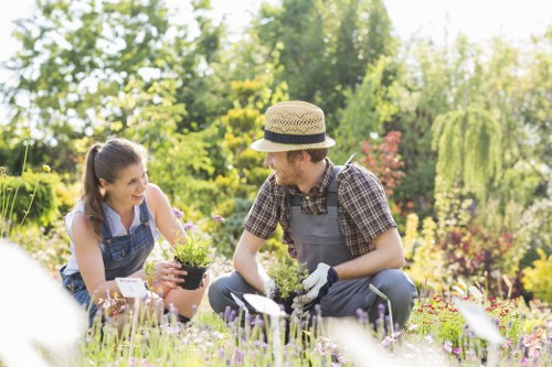 Richmond Gardening Services completing a garden project